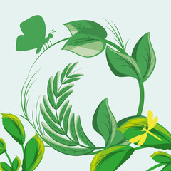 nature branches plants with leaves vector illustration