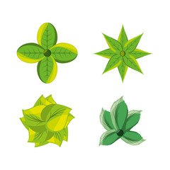 set of natural and ecology icons flowers design vector illustration