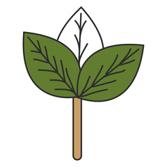 leafs plant ecology icon vector illustration design