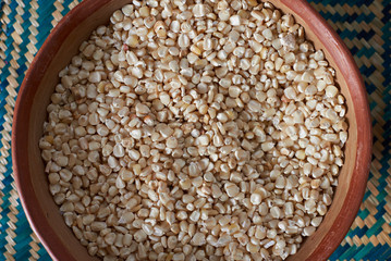 White dry corn seeds