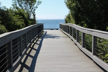 Obraz premium A bridge to a beach in early summer