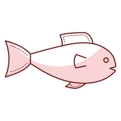fish seafood isolated icon vector illustration design