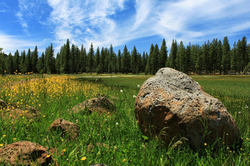 Different Boulder Same Springtime © James Eddy