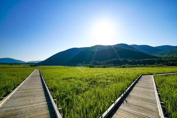 	たで原湿原