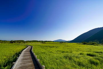 	たで原湿原