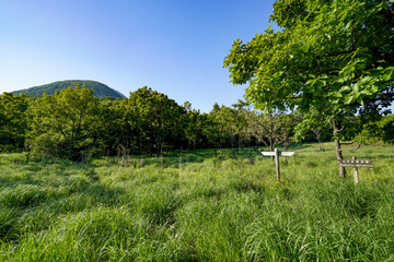 くじゅう連山　登山口