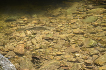 The integrity of nature