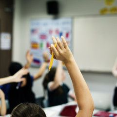Group of student learning arms raised