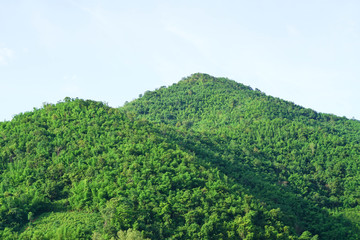 Fototapeta na wymiar Green mountains