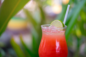 Refreshing summer drink with orange juice and lemon sliced in glasses on the wooden table. Beverage in the garden on blur green nature background . (Punch Menu)