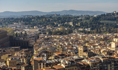 View of a section of Florence. Italy, Europe