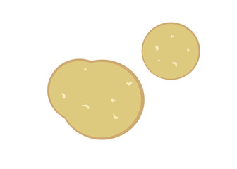 Potato