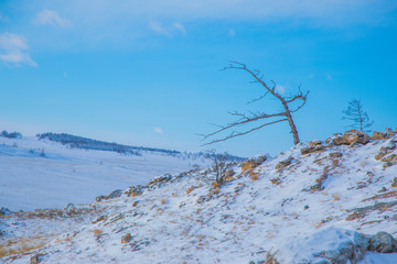 Winter Landscape in Siberia