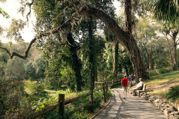 Walk along the park path with fencing and benches. Rainbow Springs, Florida State Parks, USA