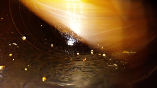 Expulsion of Centrifugal Honey in Honey-Bearer of Chordial Type