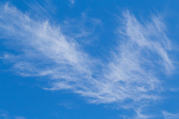 Fototapeta na wymiar Beautiful sky with white clouds floating