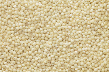 Millet background closeup