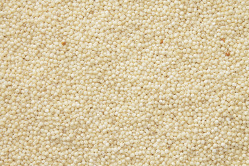 Millet background