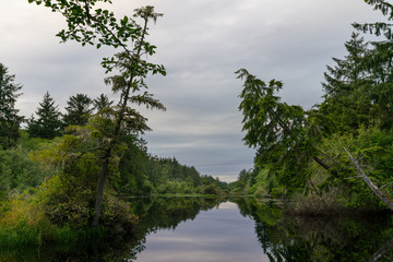 Pacific Coast Washington State