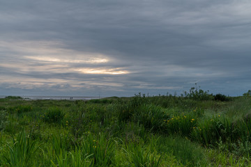 Pacific Coast Washington State