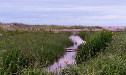 Pacific Coast Washington State