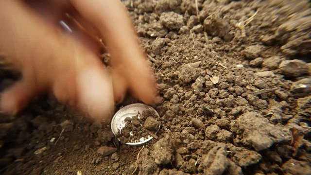 in Ground Hands Dig Out Treasure Old Russian Czarist Silver Coins Close up