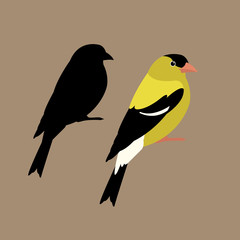 american goldfinch  vector illustration style Flat side set silhouette