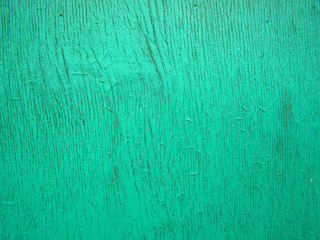 Fototapeta premium Background green wooden wall