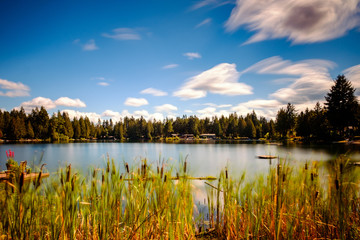 Long exposure of a lake with reeds in front and a cloudy sky