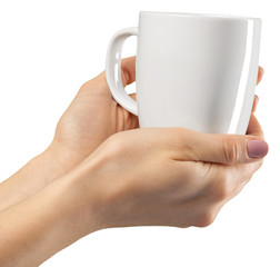 Female hands on a white background with a cup