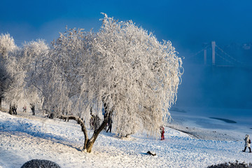 The impression of winter