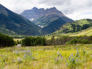 Alpine scenery in Waterton Lakes national park, Canada