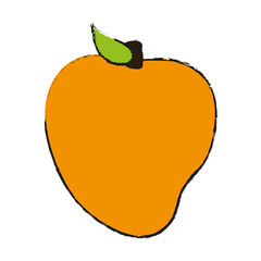 Melon sweet fruit icon vector illustration design graphic