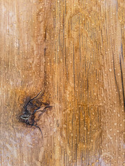 raindrops on oak surface