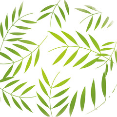 Naklejka premium beautiful flowers background colorful design vector illustration
