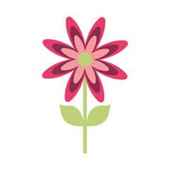 beautiful flower icon over white background colorful design vector illustration