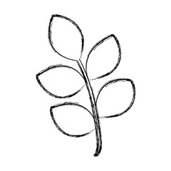 stem with leaves icon over white background vector illustration