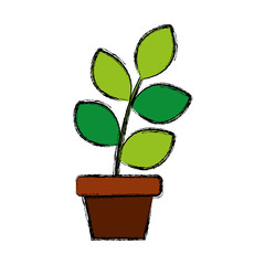 plant in a pot icon over white background vector illustration