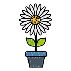 beautiful flower in a pot icon over white background colorful design  vector illustration