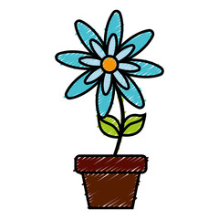 beautiful flower in a pot icon over white background colorful design  vector illustration