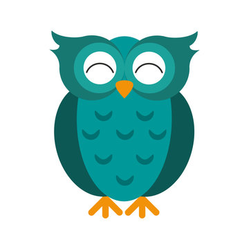 teal happy cute  owl icon image vector illustration design 