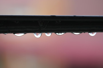 Rain drops nature.