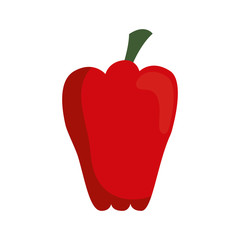 red pepper vegetable icon over white background vector illustration