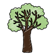 tree plant isolated icon vector illustration design