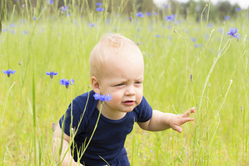 Cute infant boy with funny facial expression in the knapweed field