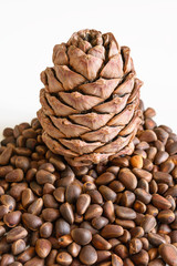 Fototapeta premium Cedar cone on a heap of pine nuts
