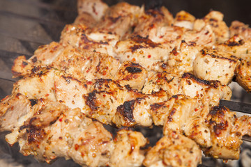cooking kebab on the coals 1