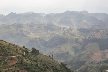 Rural Countryside Farms in Uganda
