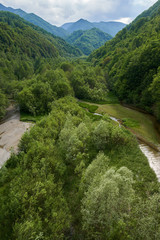 Mountains covered in lush forests