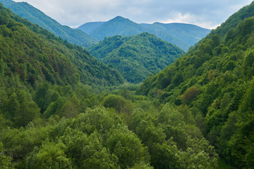 Fototapeta na wymiar Mountains covered in lush forests